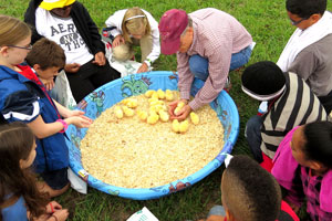 Urban Ag Day