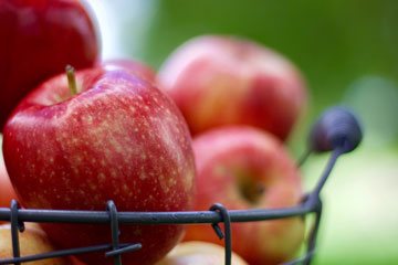 Basket of apples