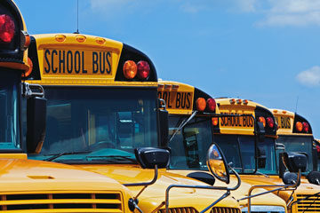 Row of school buses